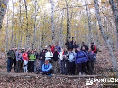 Grupo de senderismo desde Madrid, Parque Natural del Hayedo de Tejera Negra; senderismo guadarrama